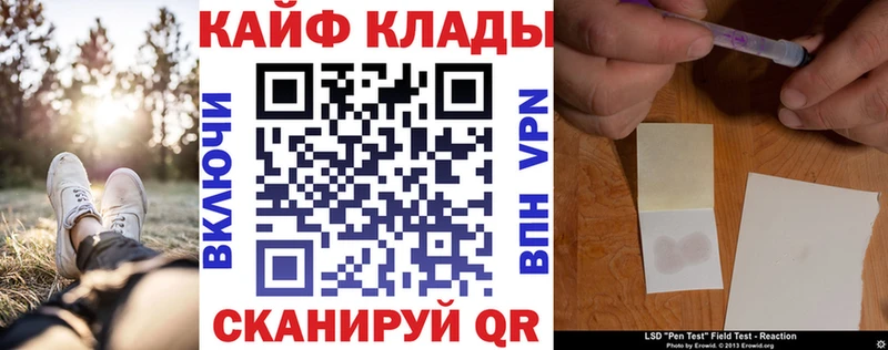 Где найти наркотики Злынка Галлюциногенные грибы  Альфа ПВП  Экстази  ГАШИШ  Меф мяу мяу  Каннабис  Кокаин 