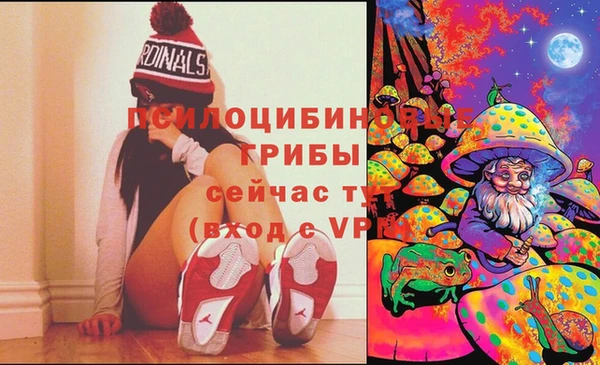 spice Верхний Тагил