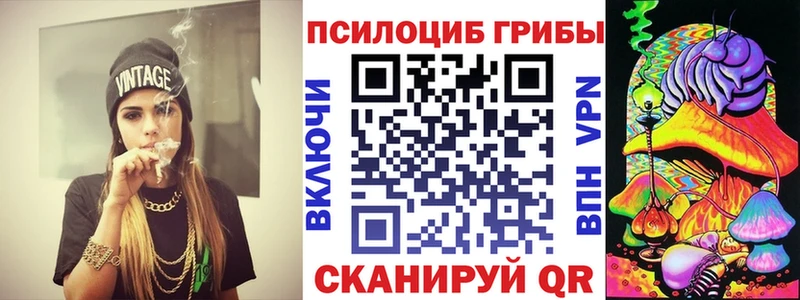Псилоцибиновые грибы GOLDEN TEACHER Злынка