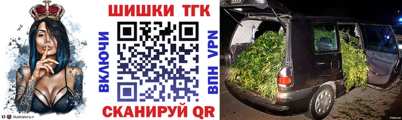 закладки Злынка Бошки Шишки индика